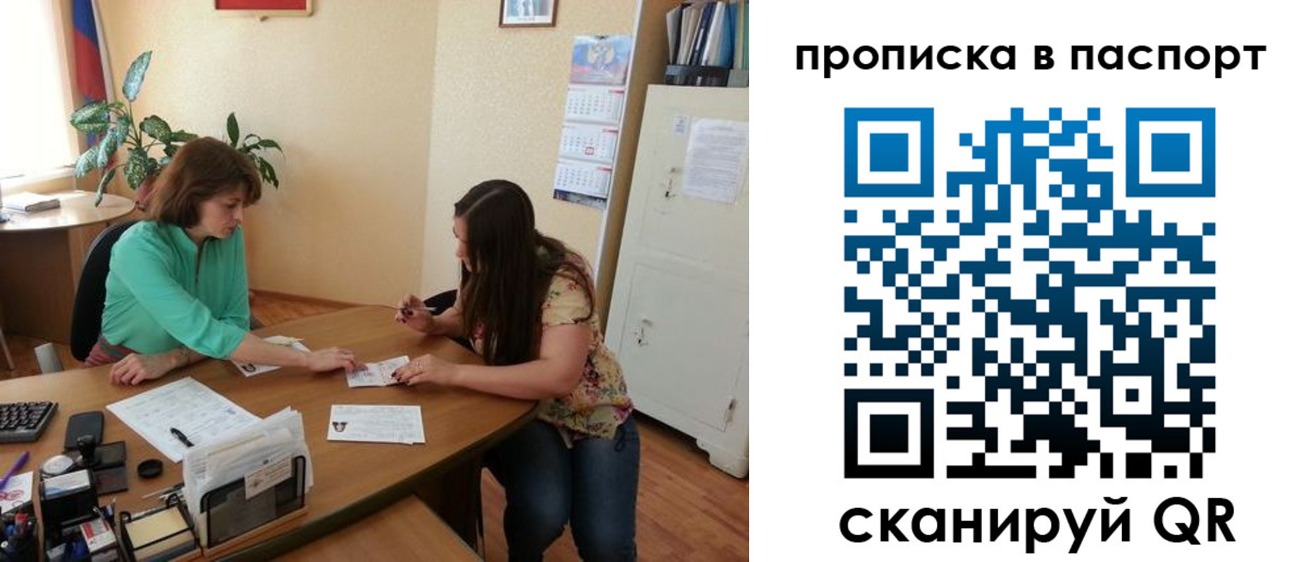 прописка поиск в Сафоново